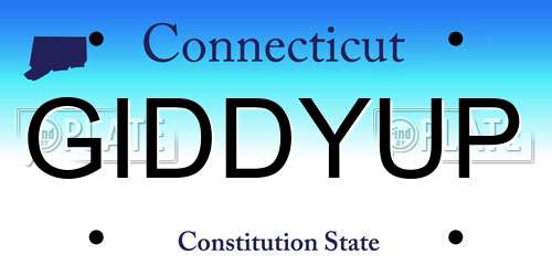 GIDDYUP Connecticut License Plate