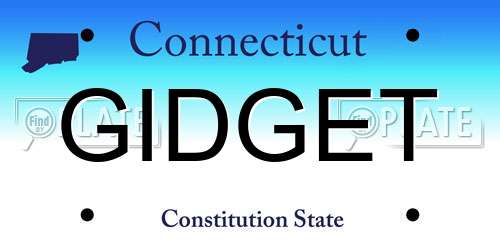 GIDGET Connecticut License Plate