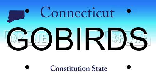 GOBIRDS Connecticut License Plate