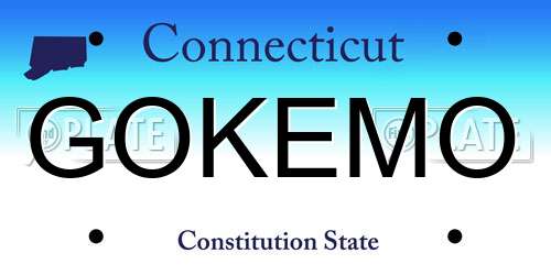 GOKEMO Connecticut License Plate