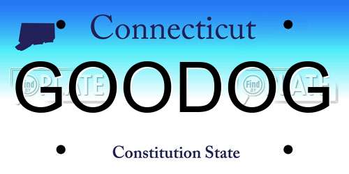 GOODOG Connecticut License Plate