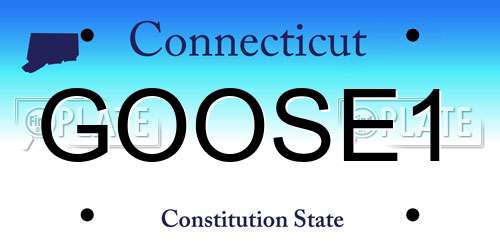 GOOSE1 Connecticut License Plate