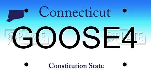 GOOSE4 Connecticut License Plate