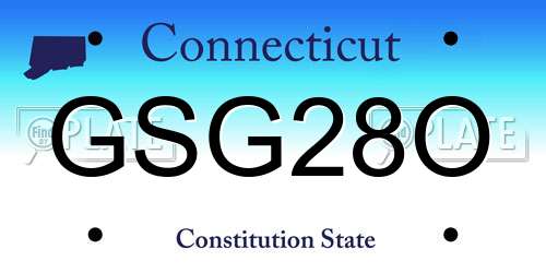 GSG28O Connecticut License Plate