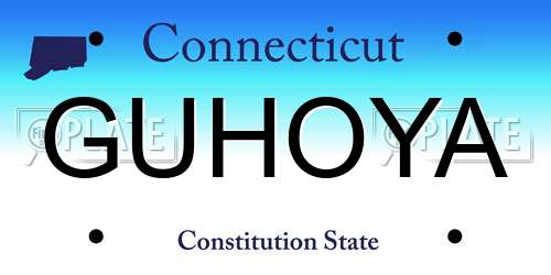 GUHOYA Connecticut License Plate