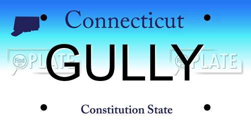 GULLY Connecticut License Plate