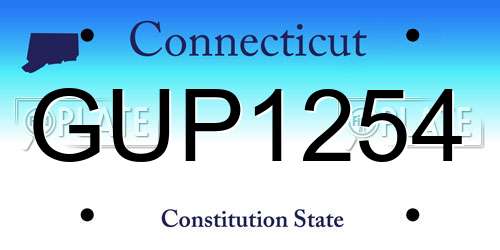 GUP1254 Connecticut License Plate