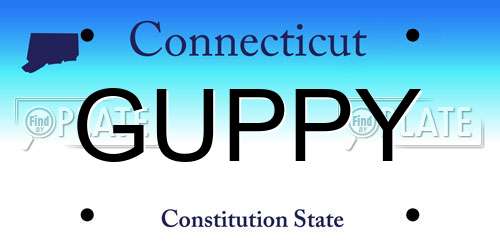 GUPPY Connecticut License Plate