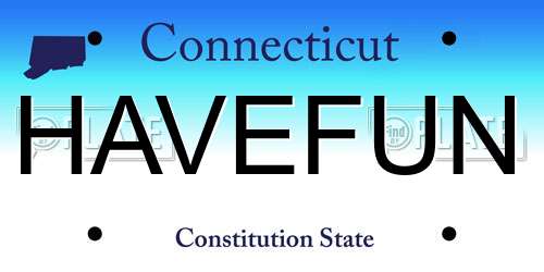 HAVEFUN Connecticut License Plate