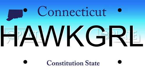 HAWKGRL Connecticut License Plate