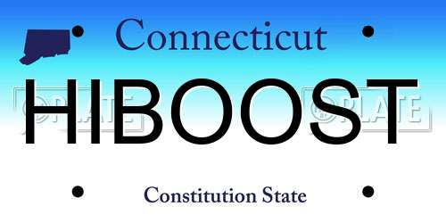 HIBOOST Connecticut License Plate