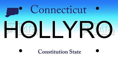 HOLLYRO Connecticut License Plate