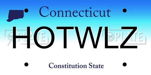 HOTWLZ Connecticut License Plate