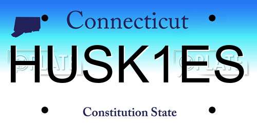 HUSK1ES Connecticut License Plate