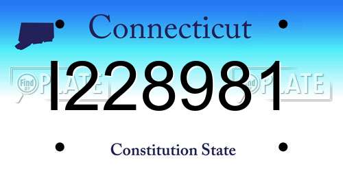 I228981 Connecticut License Plate