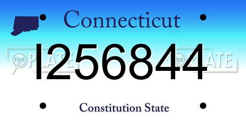 I256844 Connecticut License Plate