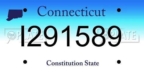 I291589 Connecticut License Plate