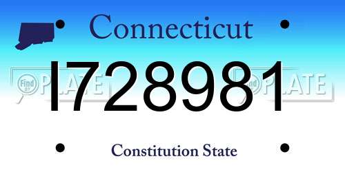 I728981 Connecticut License Plate
