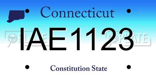 IAE1123 Connecticut License Plate