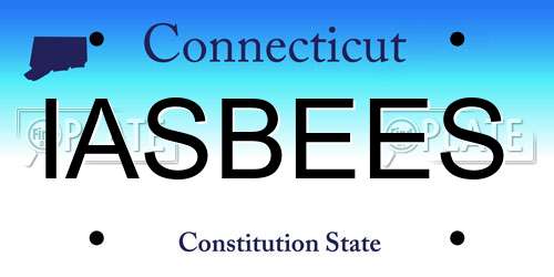 IASBEES Connecticut License Plate