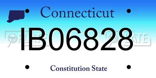 IB06828 Connecticut License Plate