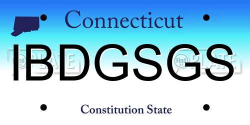 IBDGSGS Connecticut License Plate