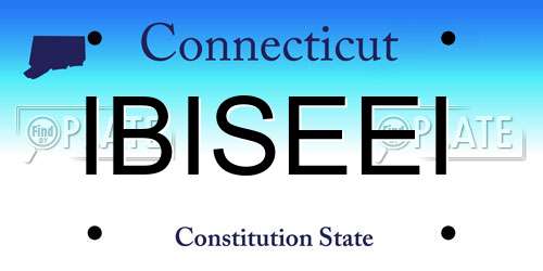 IBISEEI Connecticut License Plate