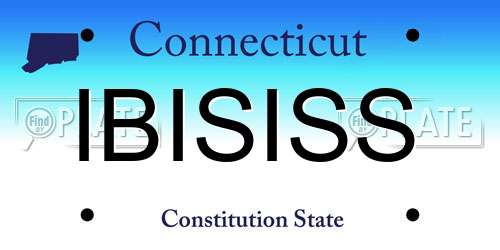 IBISISS Connecticut License Plate