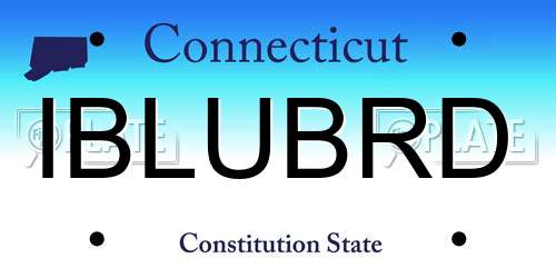 IBLUBRD Connecticut License Plate