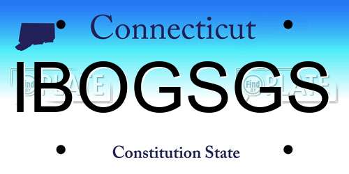 IBOGSGS Connecticut License Plate
