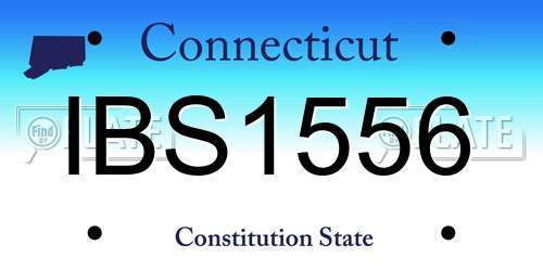 IBS1556 Connecticut License Plate