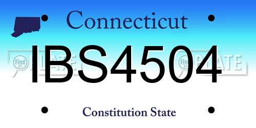IBS4504 Connecticut License Plate