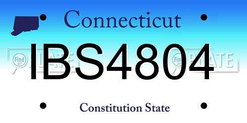 IBS4804 Connecticut License Plate
