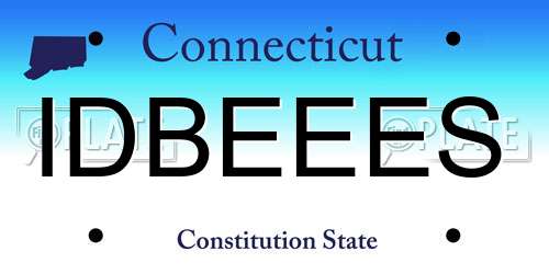 IDBEEES Connecticut License Plate