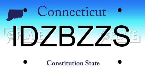 IDZBZZS Connecticut License Plate