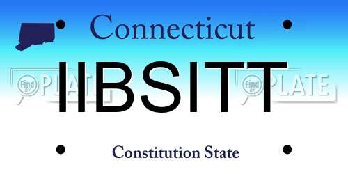 IIBSITT Connecticut License Plate