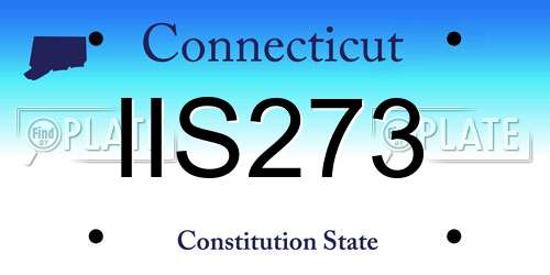 IIS273 Connecticut License Plate