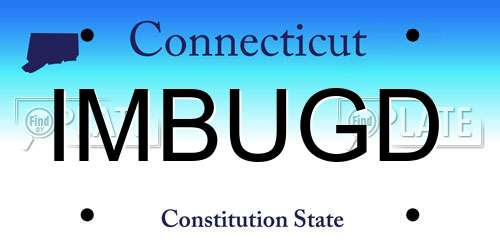 IMBUGD Connecticut License Plate