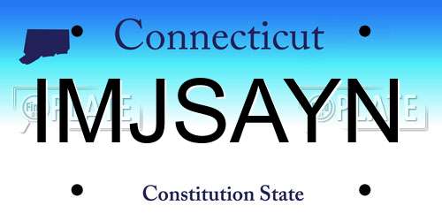 IMJSAYN Connecticut License Plate