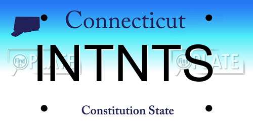 INTNTS Connecticut License Plate