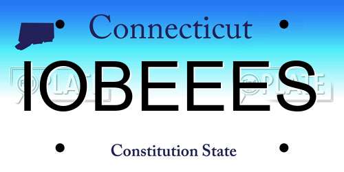 IOBEEES Connecticut License Plate