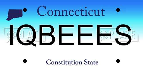 IQBEEES Connecticut License Plate