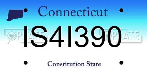 IS4I390 Connecticut License Plate