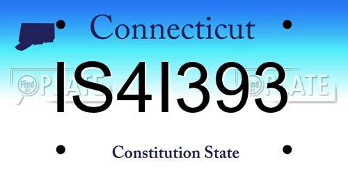 IS4I393 Connecticut License Plate