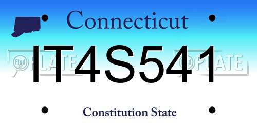 IT4S541 Connecticut License Plate