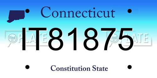 IT81875 Connecticut License Plate
