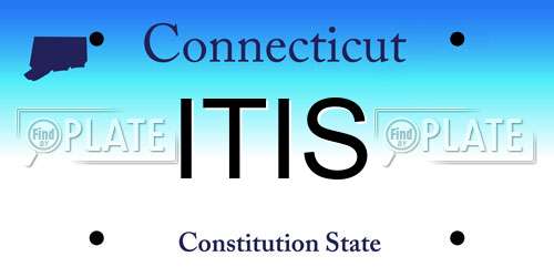 ITIS Connecticut License Plate