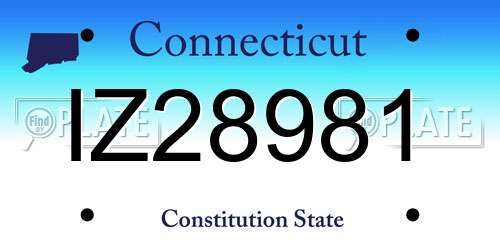 IZ28981 Connecticut License Plate