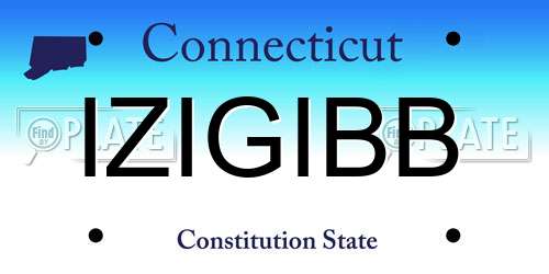 IZIGIBB Connecticut License Plate