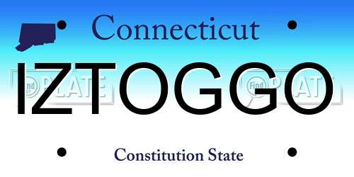 IZTOGGO Connecticut License Plate